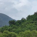 골든비 | 골든 서울 호텔 후기, 강서구 통창뷰 BBQ 조식 가성비 할인 특가