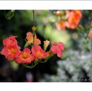 노송농원 이미지