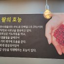 구환회마약단팥빵