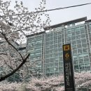 하나디톡 | [서울/가산동] OC 에너지 디톡 두피 해독 프로그램/두피케어 미용실 추천/비비추 헤어_두피케어...