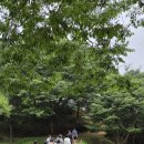 초록산산림욕장 이미지