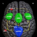 Re: 마음챙김 명상 default mode, salience and cen connectivity!! 2022Nature 이미지