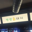 명량돼지 이미지