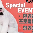 이든동물병원 이미지