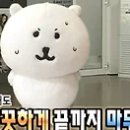 정운갈비 - 평택시 중앙시장로9번길 5 | 정운갈비