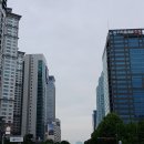 국회의사당의 위용 이미지