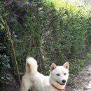 자담솔농원 이미지