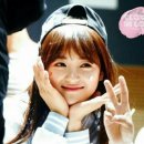 단짝 Daum카페