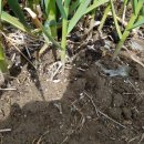 효정농장 이미지