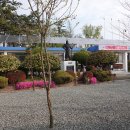 백산금빛캠프장 이미지