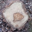 은평-009 이미지