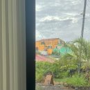 스테이레올 이미지