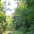 앵산꾀꼬리길 이미지