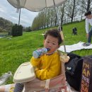 모아슈퍼 | 오네 슈퍼레이스 자동차 좋아하는 아이랑 가볼만한곳 꿀팁 2025년방문후기