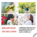 더해봄에스테틱 이미지