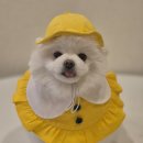 양정유치원 이미지