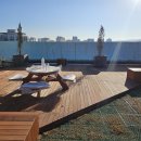 삼화초등학교 이미지