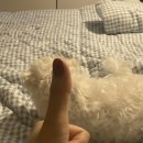 비와이네일