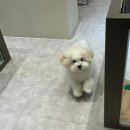 여울그루밍 이미지