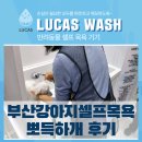 한신목욕탕 | 부산강아지셀프목욕 기장 뽀득하개, 반려동물샤워기기 설치 후기