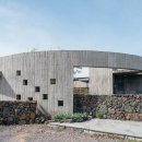 소나무를 품다 이미지