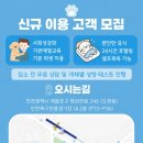 위드독 - 양평군 중앙로111번길 53-4 | 위드독