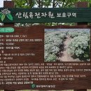 카페이팝