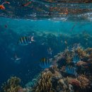 쓰리에이치글로벌(주) 이미지