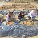 진영장등초등학교 네이버블로그