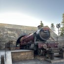 유니버셜 | 오사카 유니버셜 후기 (꿀팁 포함)