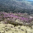 꽃샘길 화장실 이미지