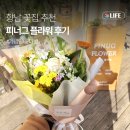 향남유치원 | 향남 꽃집 | 피너그 플라워 꽃다발 만족 후기 (가격, 주차정보,예약방법)