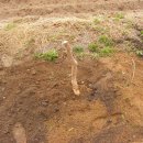 이화봉농장 이미지