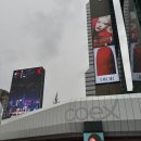 [서울] 강남 삼성역 코엑스 맛집 “무교낙지 코엑스몰점” 내돈내산 솔직 방문 후기 ✎