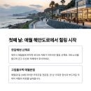 제주여행플래너
