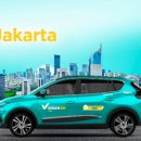 우리가축 인공수정 이미지