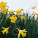 성지요양원 이미지