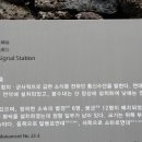 천미연대 이미지