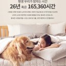 행복한세탁 이미지