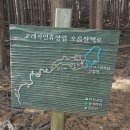 교래자연휴양림 이미지