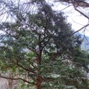 남해-300 이미지