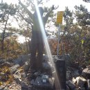 금당면-2 | 금당도 삼랑산 등산코스 최단코스 완도 금당도 트레킹