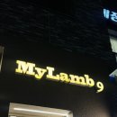 9# | 대전 도룡동 양갈비 맛집 마이램9 내돈내산 후기