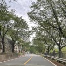 세븐일레븐가평설악점 이미지