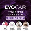스킨채움-속눈썹·왁싱 네이버블로그