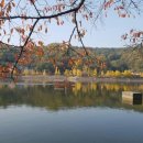 육사작은도서관 이미지