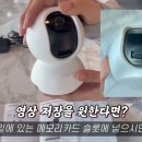 가성비 홈캠 CCTV 티피링크 TAPO C200 설치 방법 이미지
