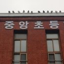 광주중앙초등학교 이미지