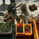 반려식물 테라리움 만들기 이미지