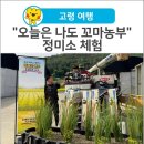 [고령 여행] 아이와 이색 농촌 체험, "오늘은 나도 꼬마농부" 논에서 밥상까지 정미소 체험 후기
